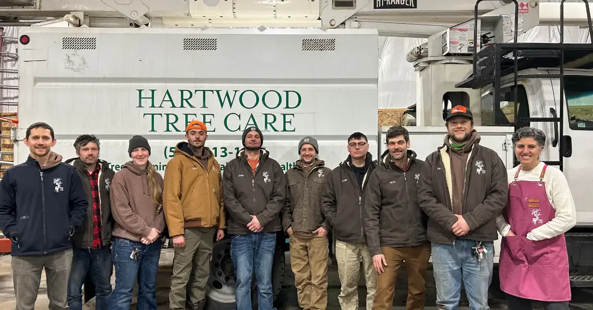 Tree Services in Goshen, Indiana