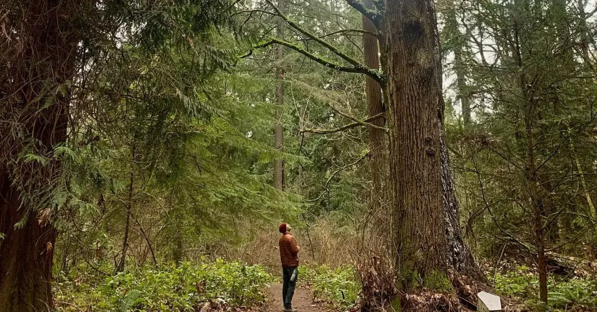 ISA Certified Arborist in Indiana