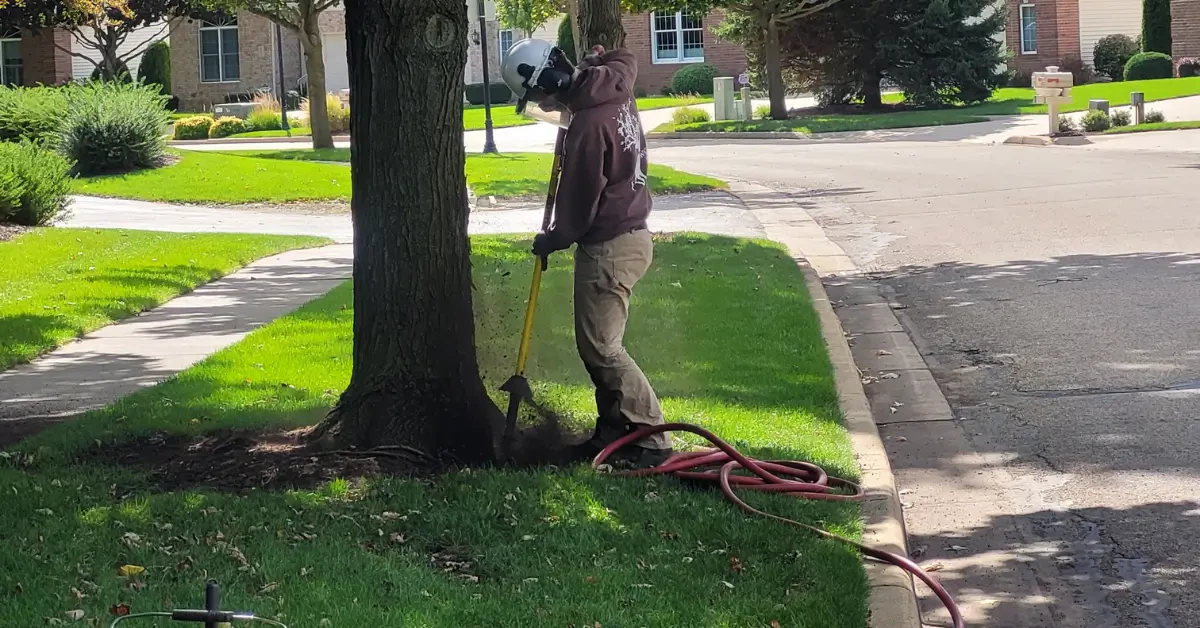 Other Tree Services