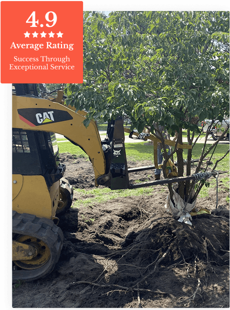 Commercial Tree Service