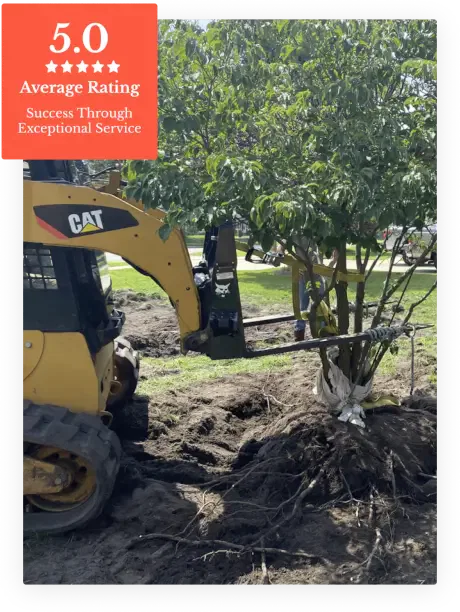 About Sidden Tree Service