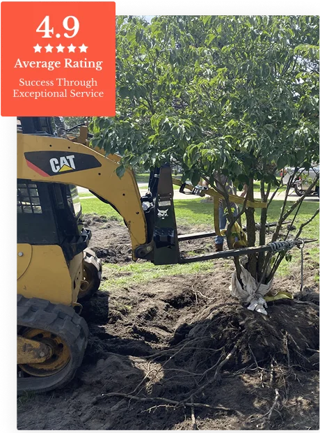 Commercial Tree Service